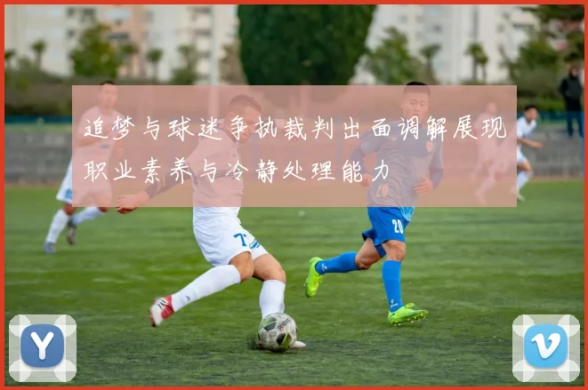 追梦与球迷争执裁判出面调解展现职业素养与冷静处理能力